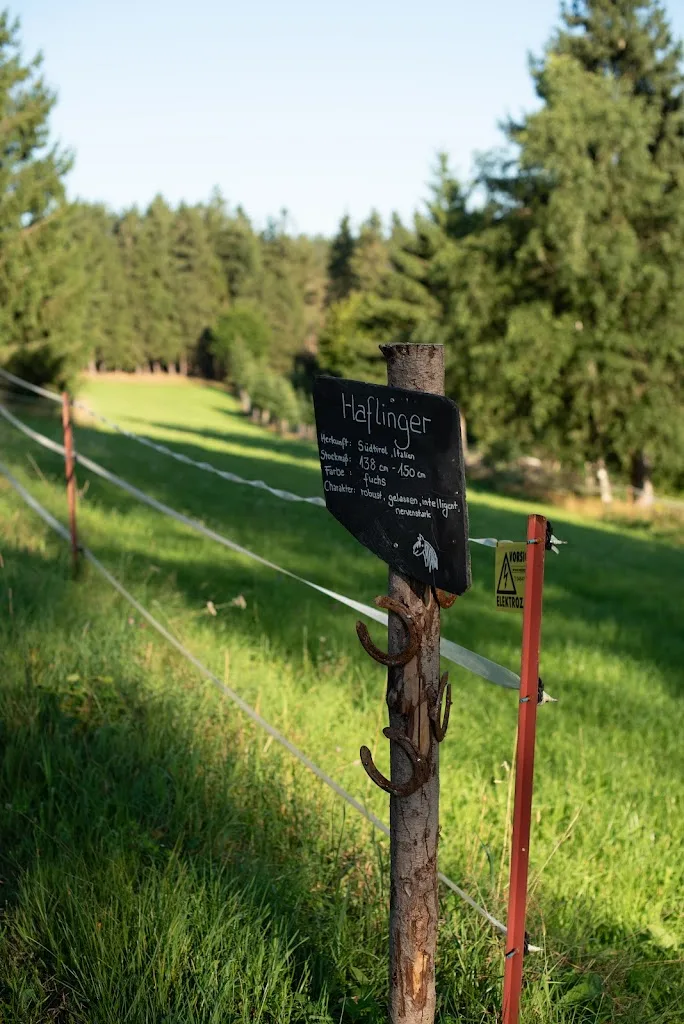 Bergpony Erlebnisstall - photo 1
