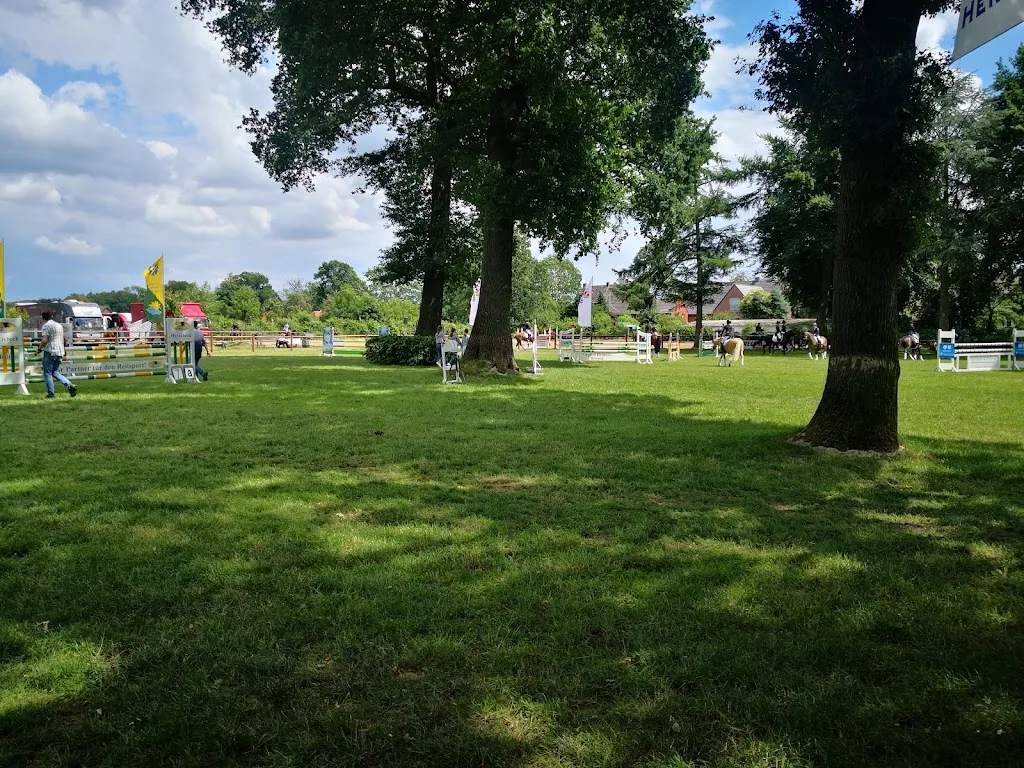 Jungpferdeaufzucht Baumberger Hof - photo 1