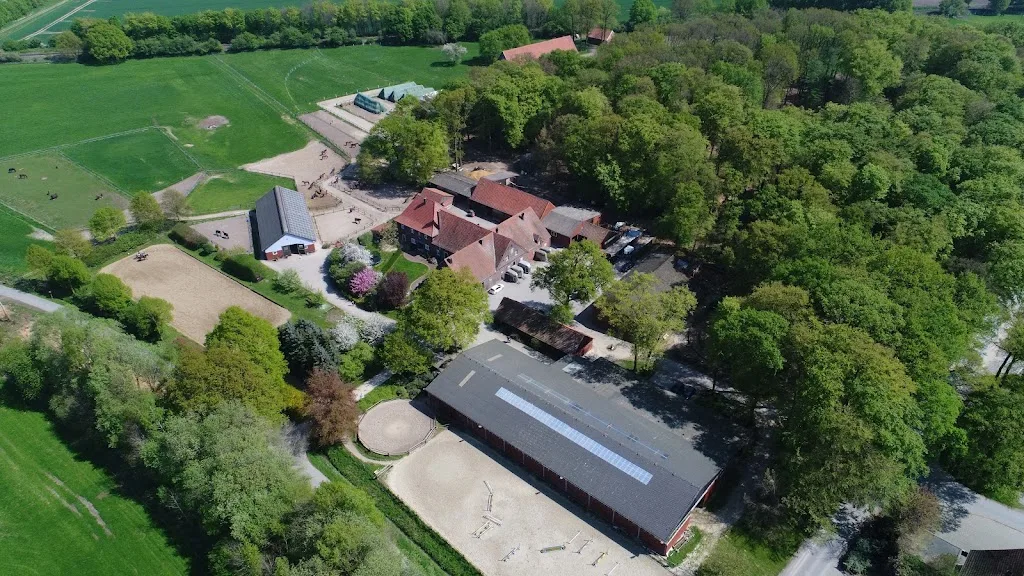 Jungpferdeaufzucht Baumberger Hof - photo 3