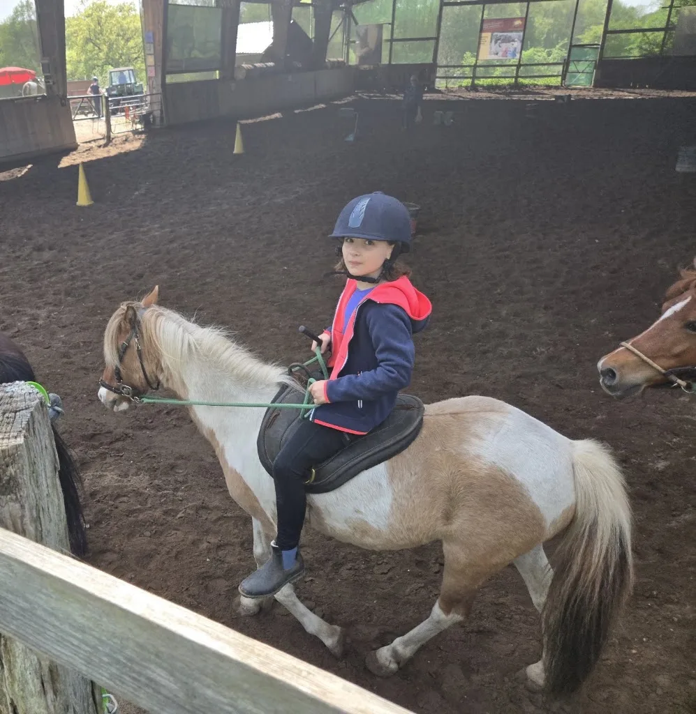 Reitstall Palingen - Antonia Vogler - Foto 2