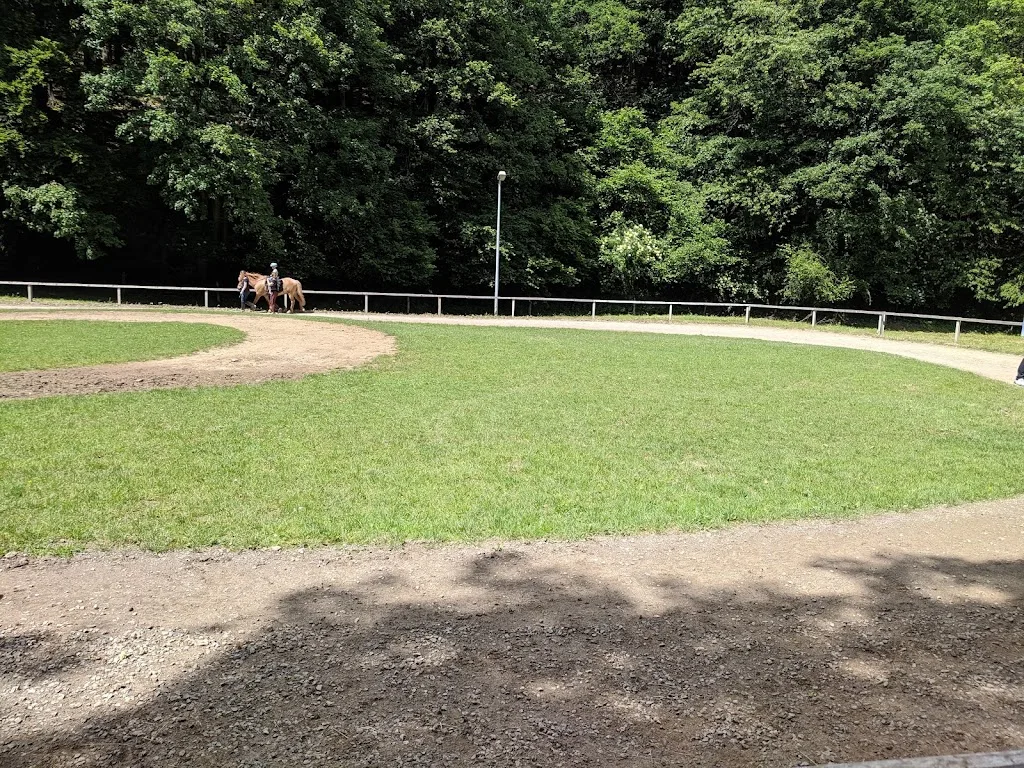 Islandpferdehof Zur Pulvermühle - photo 1