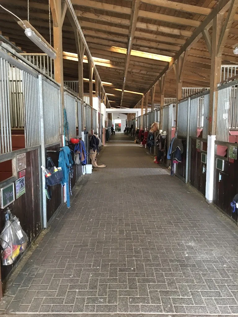 Reitstall Müller - photo 2