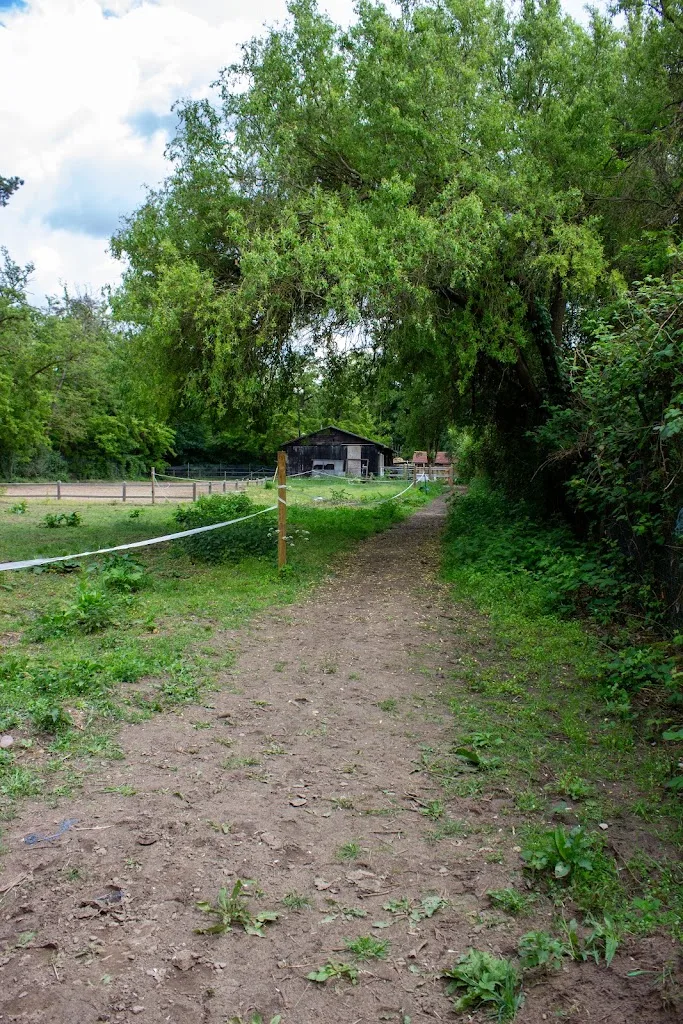 Pferdehof Venter - Foto 1