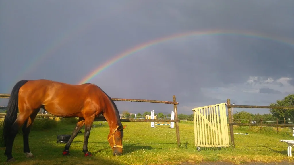 Lucky Horse Ranch - Pferdehof Bad Mergentheim - photo 1