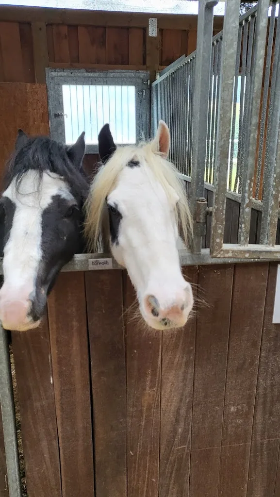 Horseland am Rothaarsteig - Foto 2