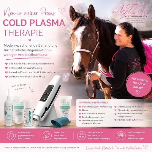 Pink Ponyhof - AvT Westerntraining & Reha - photo 2