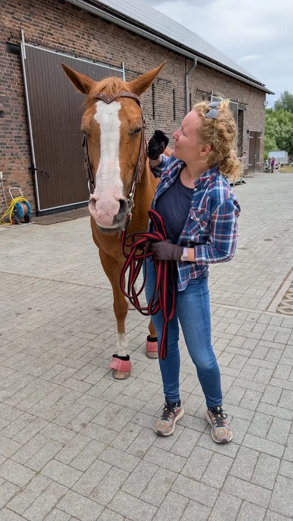 Pink Ponyhof - AvT Westerntraining & Reha - photo 3