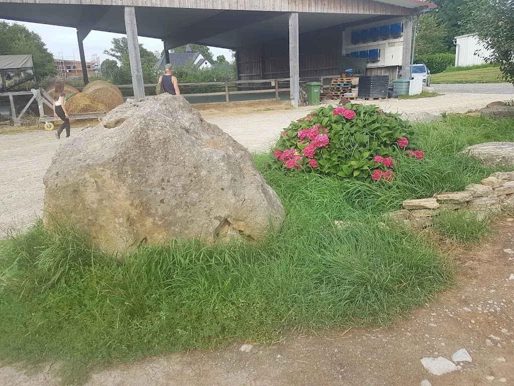Lilja - Foto 3