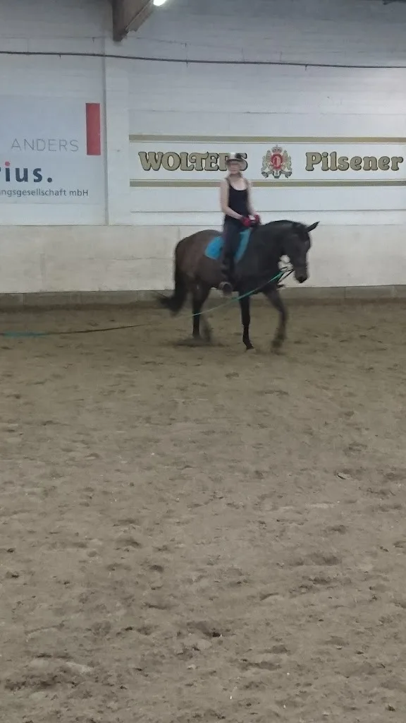 Reitstall Rose Hotopp - Foto 1