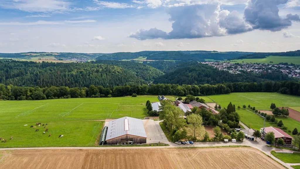Waldhof Wildberg - Foto 2