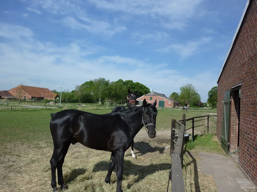 Stall-Troff - Foto 1