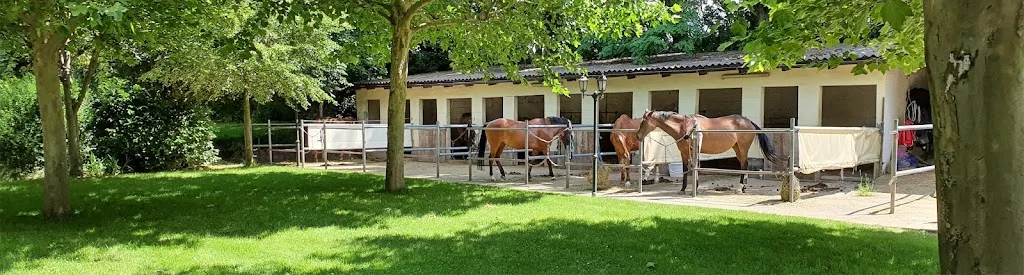 Reitanlage am Ludwigsbrunnen - Foto 1