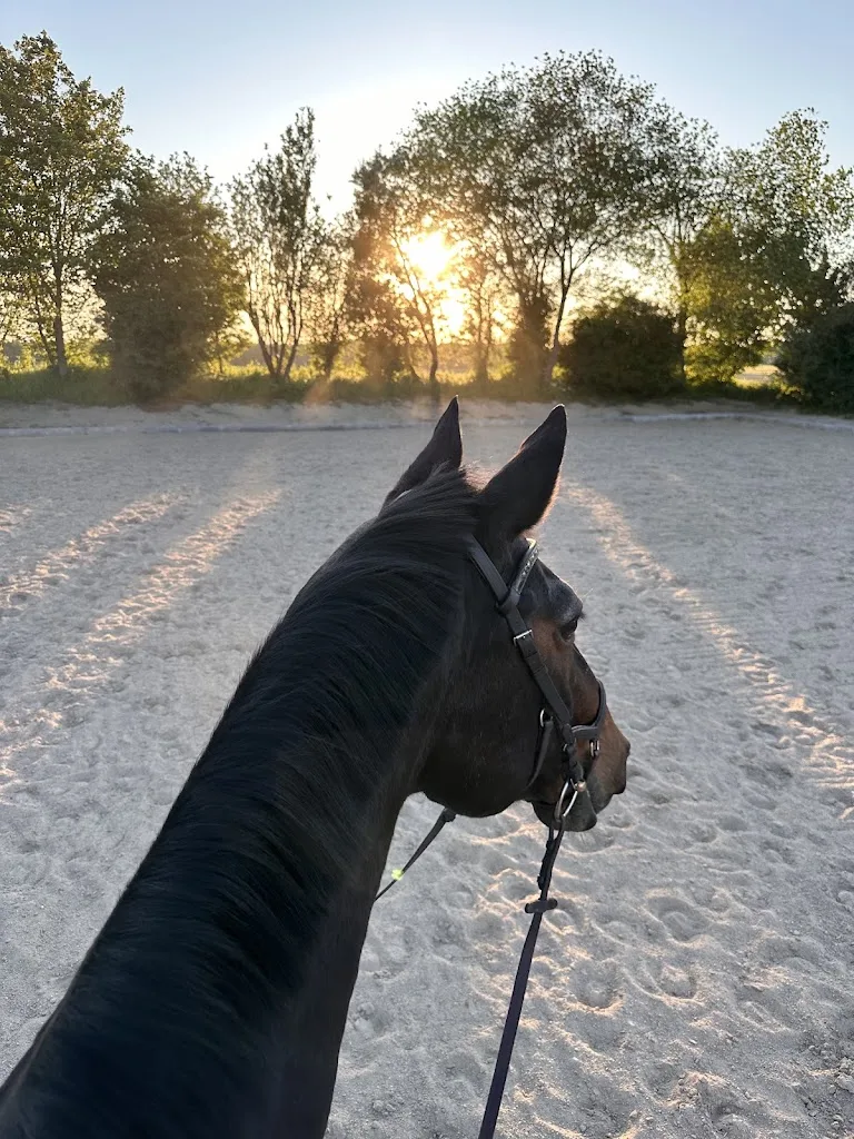Sommerholz-Ranch - Foto 1