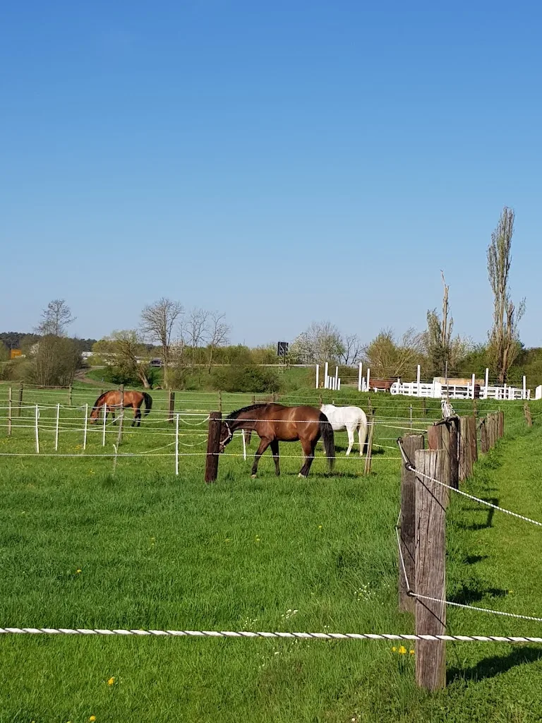Reitanlage Seukendorf - photo 2