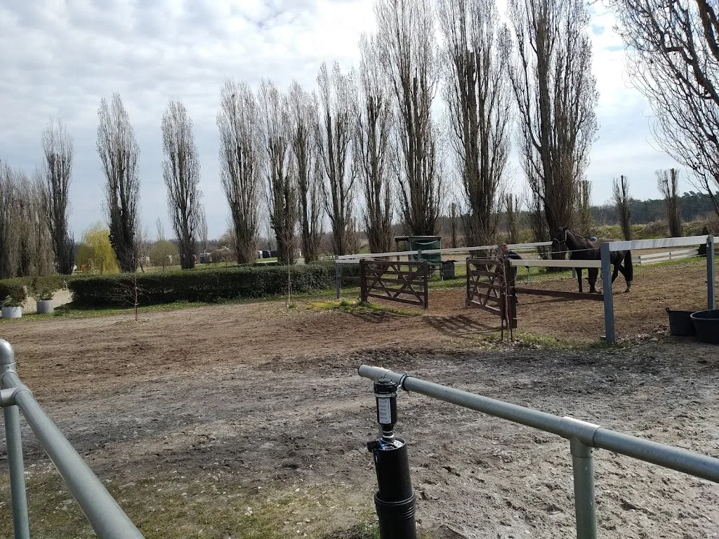 Reitsportanlage Stahnsdorf GmbH - Foto 1