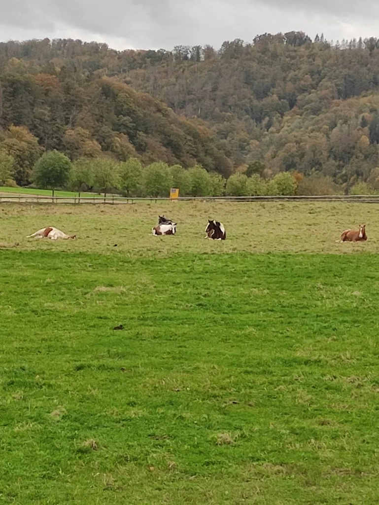 Triple Horse Ranch - Foto 1