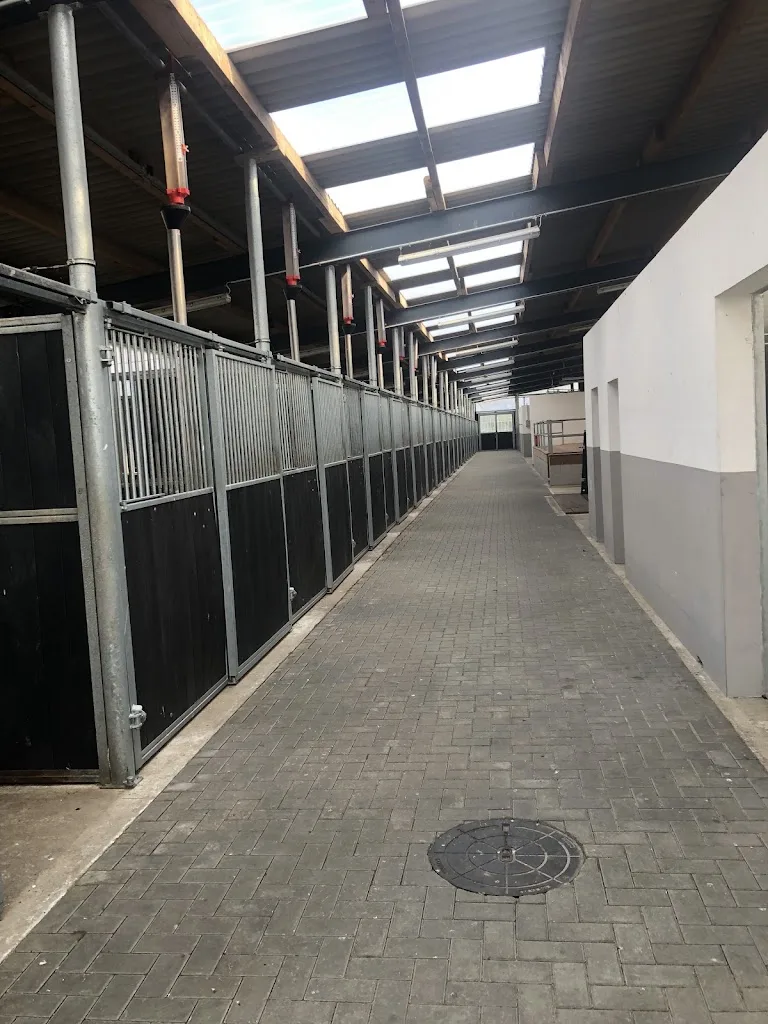 Reit- und Therapiezentrum Monse - photo 2
