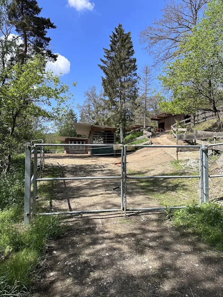 Reiterhof Aftholderbach - Foto 2