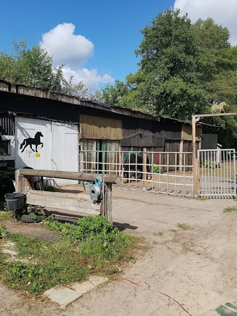 Gestüt Julienhof - Foto 2