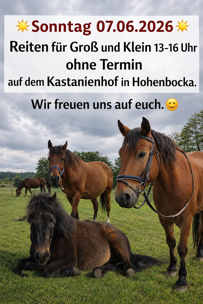Café Kastanienhof mit Reitbetrieb Hohenbocka - Foto 1