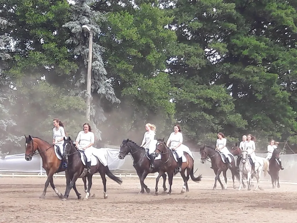Pferde- und Ponyhof Repten - Foto 1