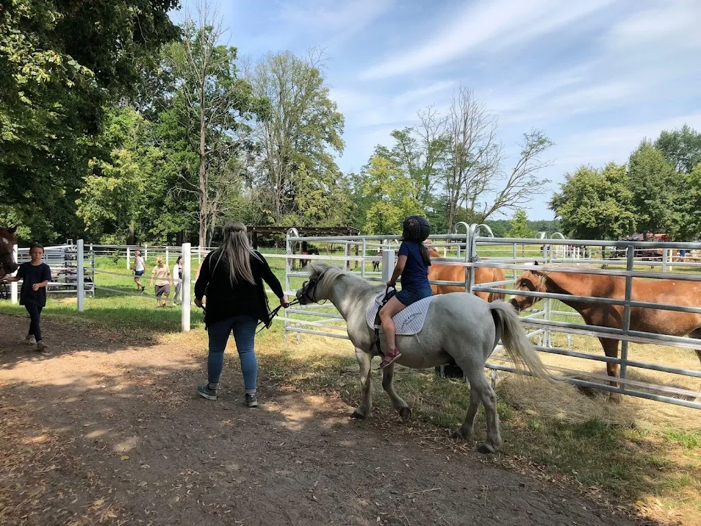 Pferde- und Ponyhof Repten - Foto 2
