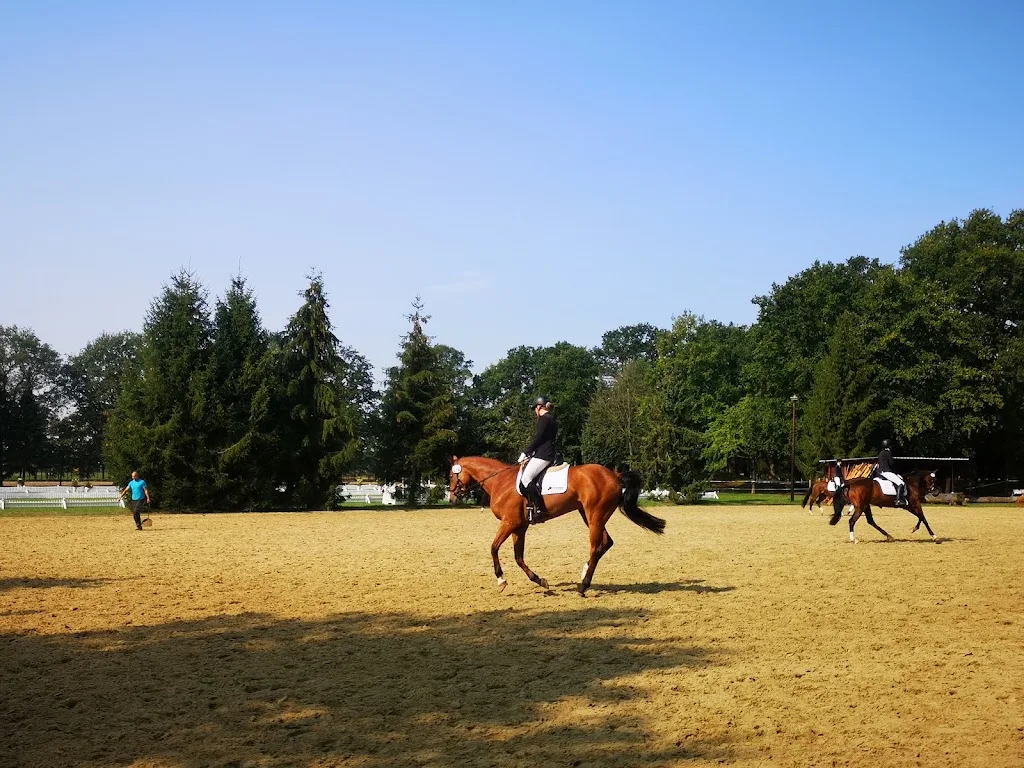 Reitanlage Münkel - Foto 2