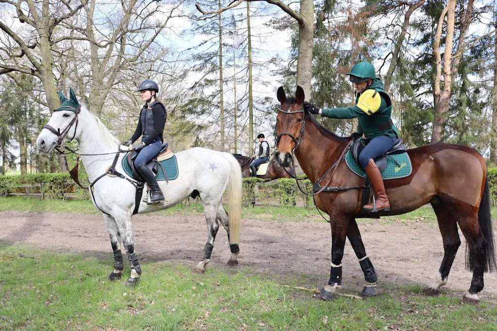 Reitanlage Münkel - Foto 3