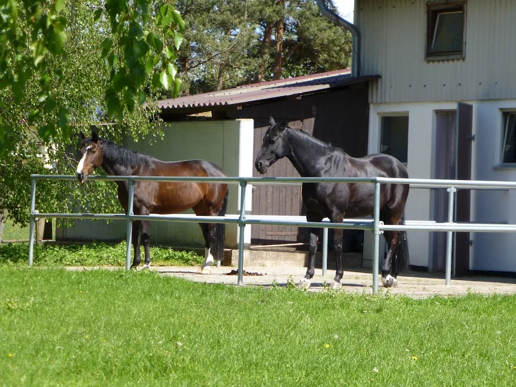 Reitanlage am Ellerbruch - Foto 1