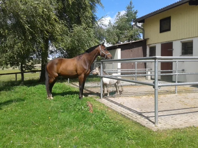 Reitanlage am Ellerbruch - Foto 2