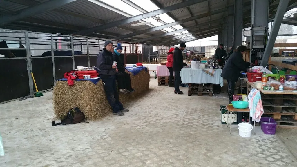 Reitstall Wiesner, Reitanlage - photo 1
