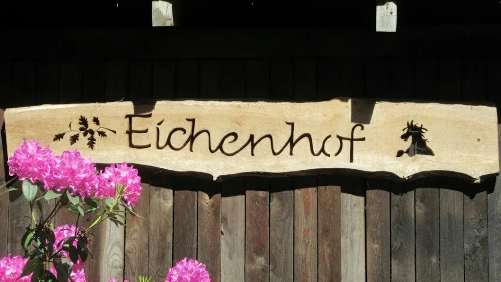 Pferdehof Knoke - Foto 1