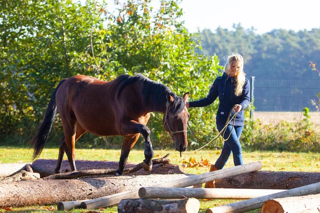 Sliding Horse Ranch - Foto 2