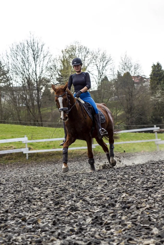 Eschenhof Reitanlage Althütte | Therapeutisches Reiten Backnang, Schorndorf, Rudersberg, Winnenden - Foto 1