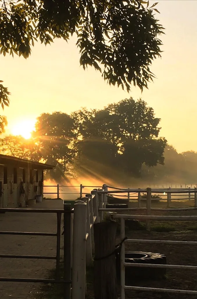 Reitanlage Buchenhof Behnke - Foto 2