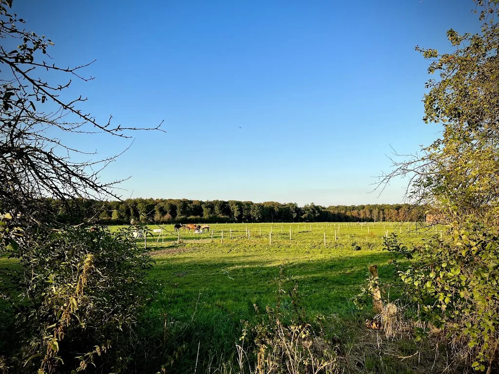 Reitstall Mäsgen - Foto 2