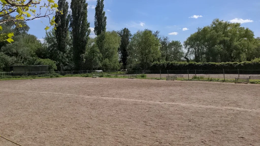 Pferdepension Reimann - Foto 1