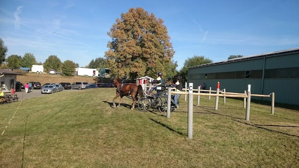 Reitanlage in der Siebendelle - Foto 1
