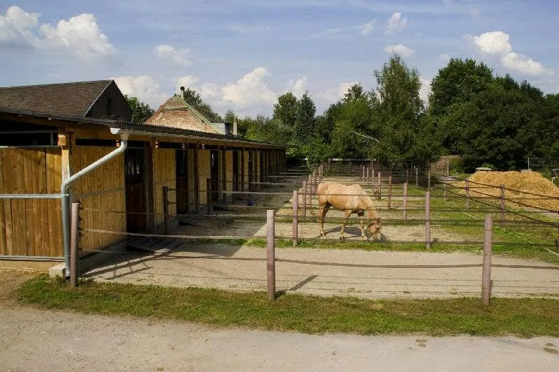 Reiterhof Büsgen - Foto 2