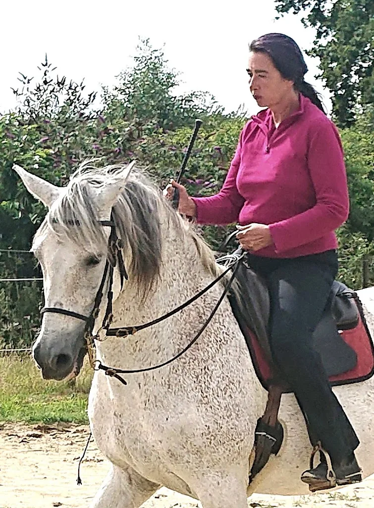 Tierakupunktur und Hufpflege - photo 2