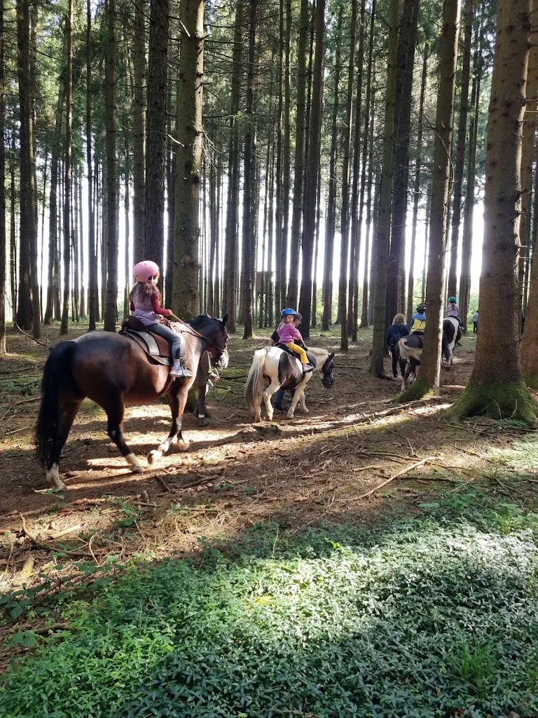 Tinker Ponyhof - Foto 1