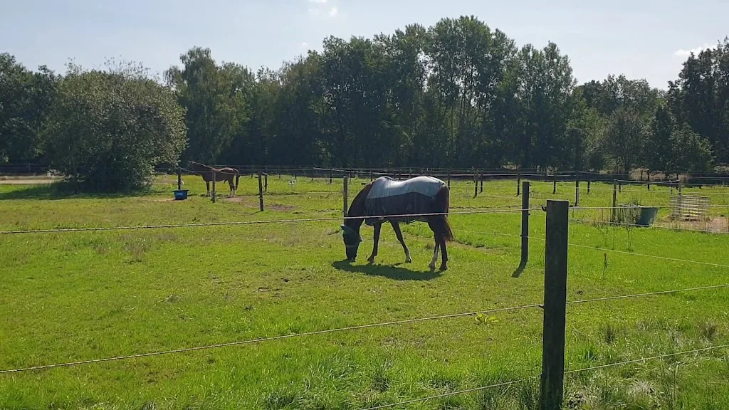 Reitsportanlage Wesselheide - Foto 1