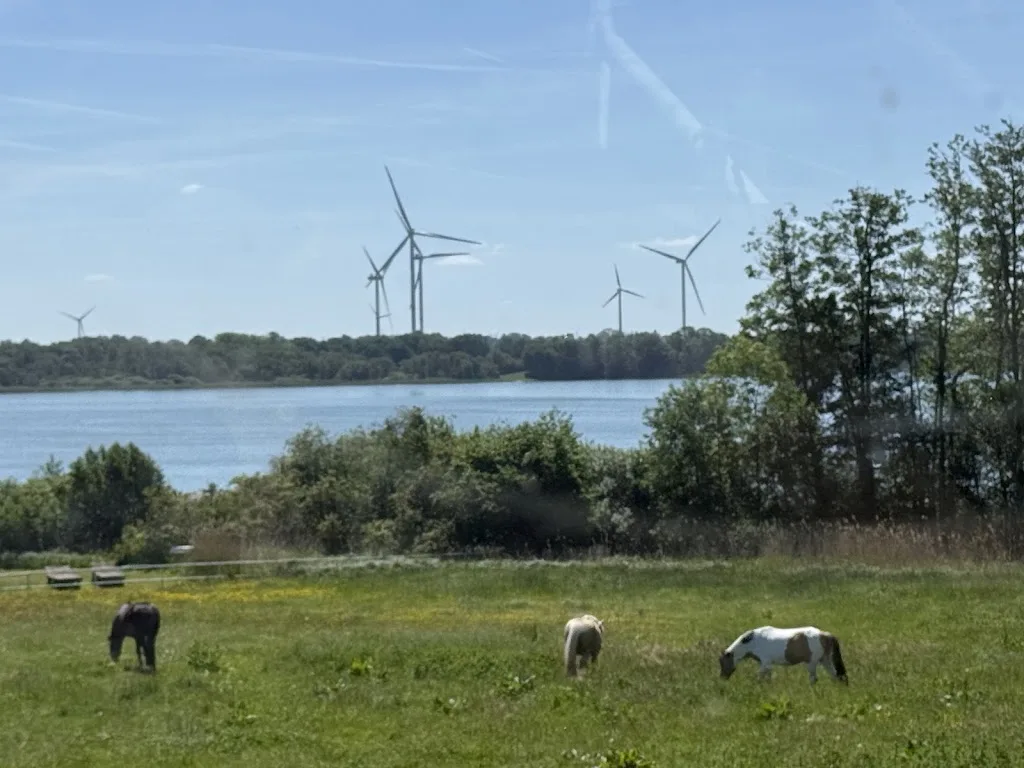 Gestüt „Hof am See“ - Foto 1