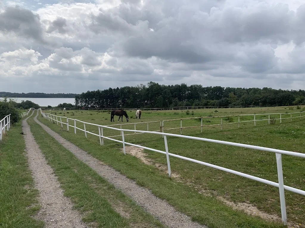 Gestüt „Hof am See“ - Foto 3