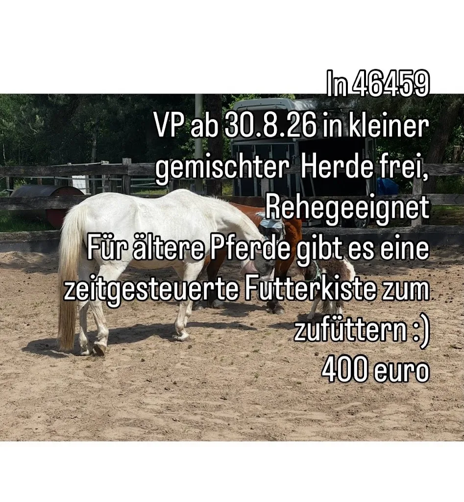 Der Bewegungsstall Boland - photo 1