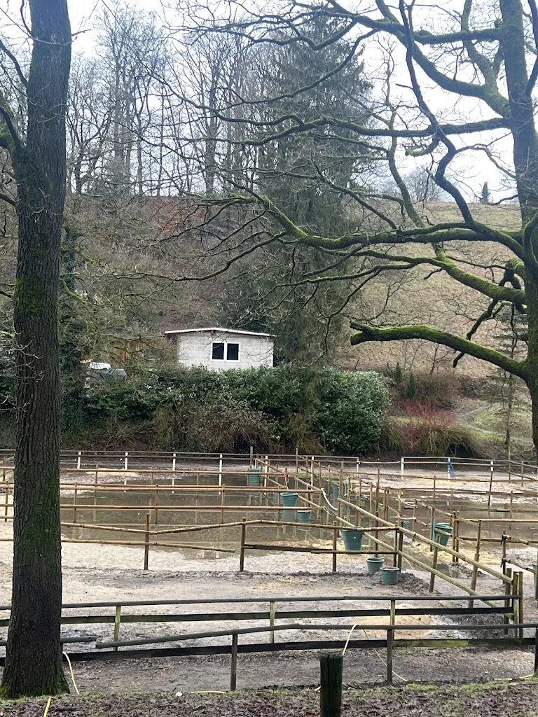 Reitanlage Oberste-Lehn - Foto 3