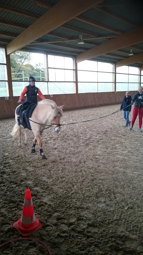 Therapeutisches Reiten Stockhausen auf dem Sonnenhof - Foto 1