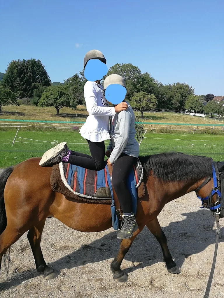 Therapeutisches Reiten Stockhausen auf dem Sonnenhof - Foto 2