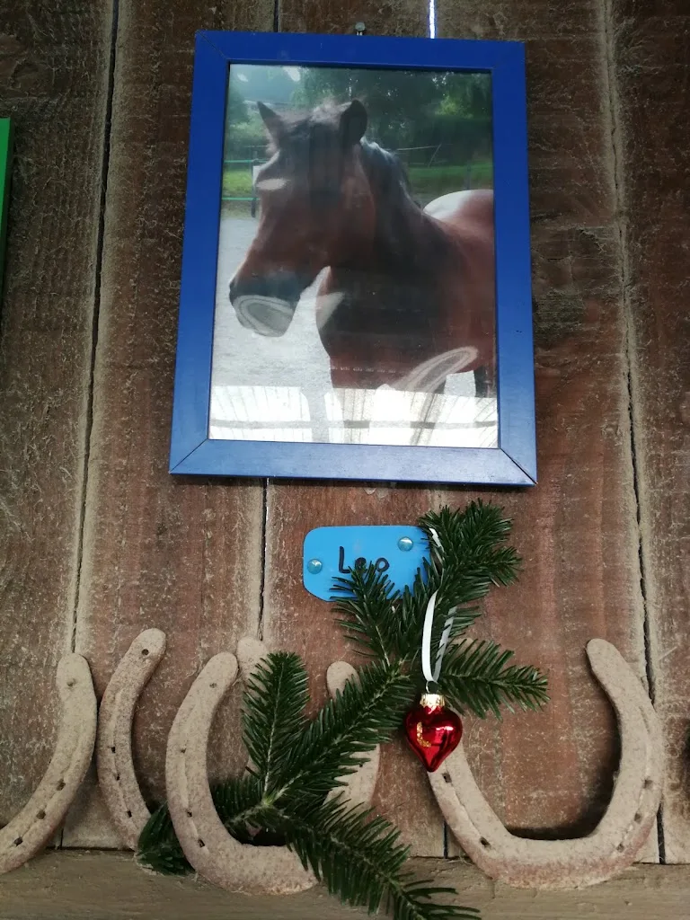 Therapeutisches Reiten Stockhausen auf dem Sonnenhof - Foto 3
