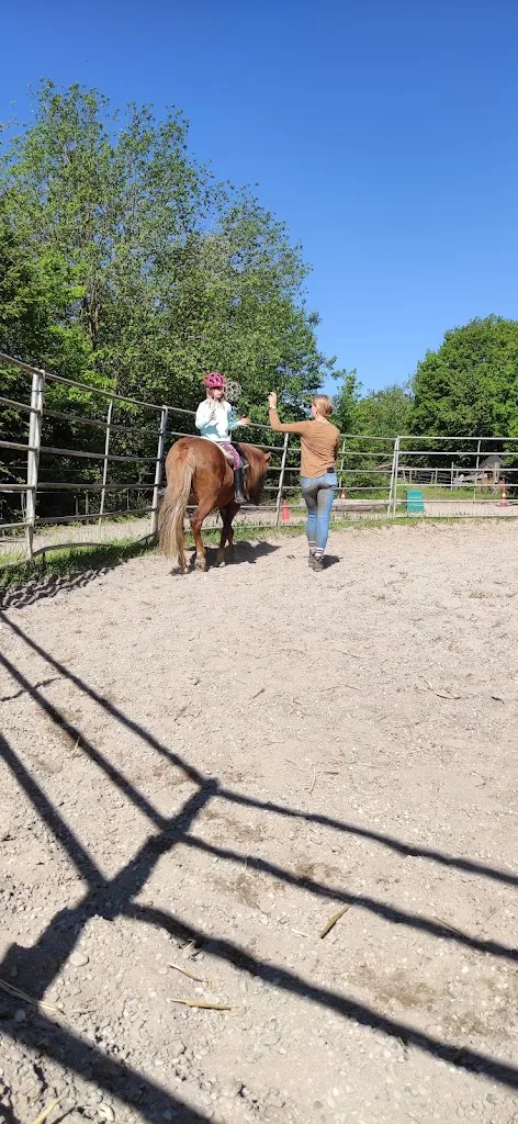 Reitanlage Fröhnerhof - photo 1